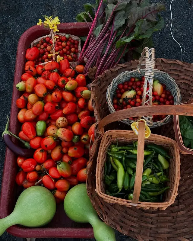 Homegrown vegetables freshly harvested from Leena’s Garden